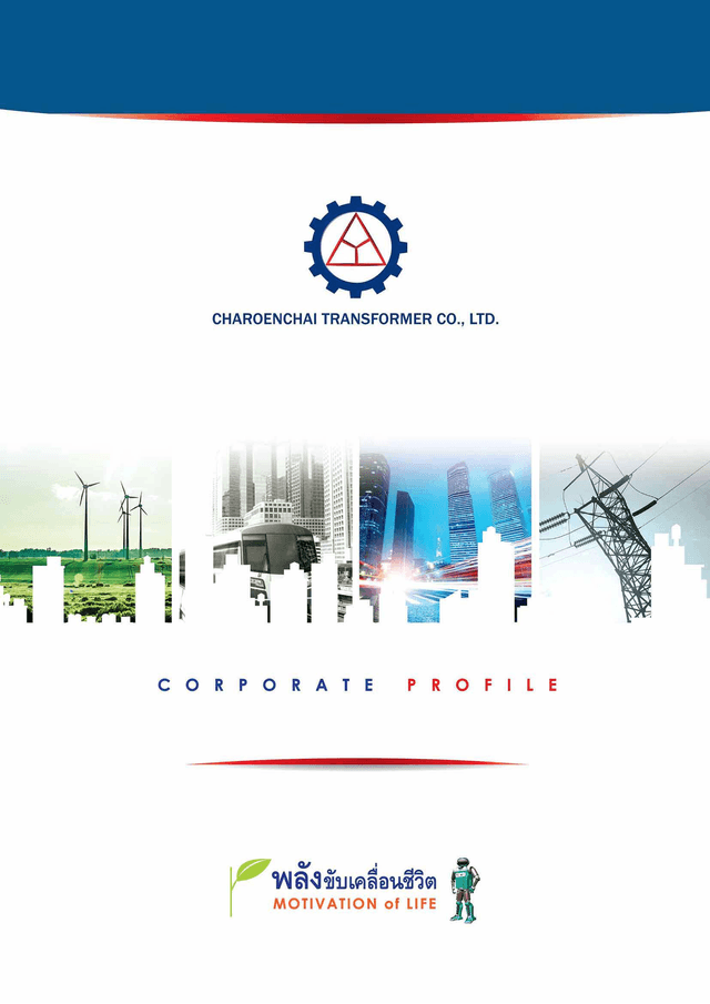 Company Profile